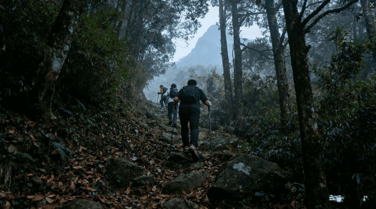 风驰加速器功能介绍与使用体验评测报告